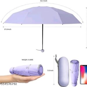 Mini Umbrella with Case
