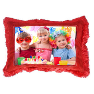 Red Furr Rectangle 12×18