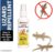  Natural Insect Repellent Spray For Babies | With Citronella, Eucalyptus & Lemongrass Oil | 100% Protection from lizard- 100ml